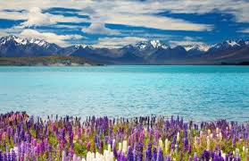 New Zealand Lake Tekapo 4k Ultra Hd Wallpaper 4k Wallpaper Net New Zealand Lakes Lake Tekapo Beautiful Places