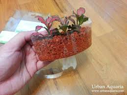 Botanicaire Plant Sushi As Riparium Planters Plants Planters Biorb Fish Tank
