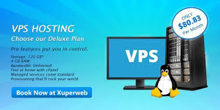 Linux Vps Hosting Host Your Website With Vps Hosting Which Can Accomodate Ten Thousands Visitors A Day Vps Vp Hosting Web Hosting Services Hosting Services