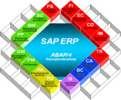 Sap Mm Training In Chennai By Mnc Experts Our Trainer Is Sap Mm Certified Mnc Experts Who Have Vast Sap Mm Exper Sap Application Development Business Solutions