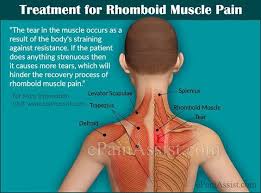 Pin On Symptoms Of Back Pain