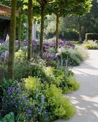 Debby Botanica Trading On Instagram Ground Cover The Cotswolds Design By Marcusbarnettstudio I Lo Beautiful Gardens Cottage Garden Design Cottage Garden