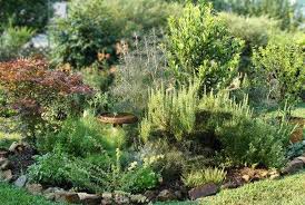 The Versatile Italian Herb Gardens Herb Garden Design Medicinal Herbs Garden Herb Garden