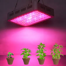 Najlepiej Pelne Spektrum 300 W Doprowadzily Rosna Swiatlo Dla Hydroponika Cieplarnianych Rosna Namiot Box Lamp Led Grow Lights Grow Lights Best Led Grow Lights