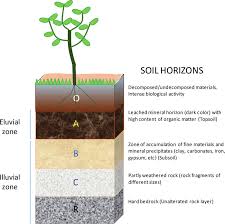Schematic Drawing Of The Soil Profile Download Scientific Diagram