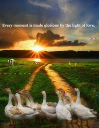 Every Moment Is Made Glorious By The Light Of Love Rumi Rumi Love Rumi Quotes Rumi