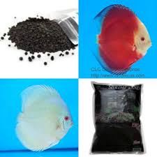 Fluval 11081 Medium Large Gravel Vacuum Cleaner Vacuum Cleaner Cleaners Discus Fish