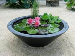 Indoor Water Garden Ideas Enthusiastized Container Water Gardens Indoor Water Garden Water Garden