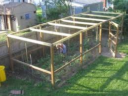 Blueberry Patch Enclosure Garden Enclosure Ideas Vegetable Garden Design Raised Garden