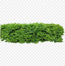 By Owhl Stock On Clip Hedge Top View Png Image With Transparent Background Toppng Are you searching for silhouette png images or vector? by owhl stock on clip hedge top view