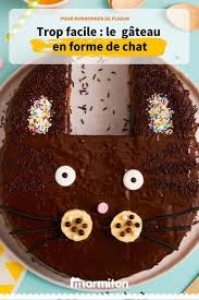 Gateau Chat Choco Noisette Recette Gateau Chat Gateau Anniversaire Facile Enfant Gateau Anniversaire Facile