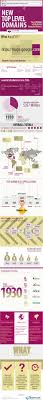 New Tlds The Future Of Domain Names Infographic Website Domains Domain