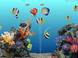Free 3d Aquarium Wallpaper Wallpapersafari Desktop Wallpaper Aquarium Screensaver Aquarium