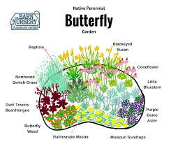 Native Perennial Garden Perennial Garden Design Butterfly Garden Design Butterfly Garden Plants