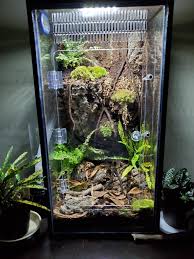 1 20 Gallon Tall High Aquarium Gecko Arboreal Conversion Kit I Heart Geckos Diy Crested Gecko Gecko Crested Gecko Vivarium