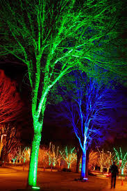 Winter Lights At The Nc Arboretum In Asheville Winter Light Outdoor Lights