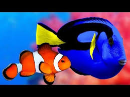 Pin By Gerda Both On Fishes In 2020 Relaxing Music Coral Reef Aquarium Meditation Music Sleep