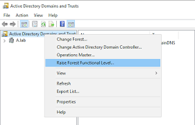 How To Upgrade To A 2019 Domain Controller With A Current 2008 Primary Controller Microsoft Q A