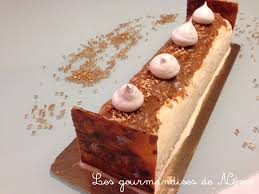 Buche Glacee Vanille Caramel Beurre Salee Et Nougatine Faire Une Buche Glacee Maison Moule A Buche En Plastique Gateaux Et Desserts Nougatine Buche Glacee