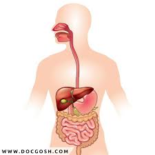 Pin On Medicina Natural