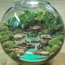 Pin On Succulent Terrarium