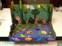 Pin By Monique Loverme Daeschler On Craft Ideas Habitats Projects Ecosystems Projects Science Projects For Kids