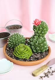 Cactus Garden Cakes In 2020 Garden Cakes Succulent Cake Cactus Cake