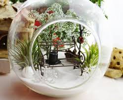 Snow In Central Park Terrarium Snow White Sand Bench And Lamp Post Airplants Glass Globe Magical Wintery T Terrarium Gifts Terrarium Terrariums Kits
