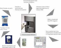 Xpert Mtb Rif Rapid Diagnosis Of Tb Time To Result 3 Hours Detection Diagnosis Time