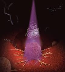 Nanoprobes And Nanoswitches Institute For Bioengineering Of Catalonia Ibec