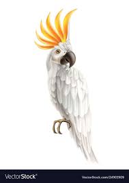Pin On Clipart