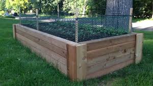 Dilemma I Have Rabbits Including Baby Bunnies Living In Or Near My Yard Not Good And I Want To Grow V Diy Raised Garden Garden Beds Raised Garden Beds Diy