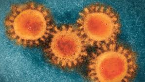 Coronavirus Covid19 Ama Ed Hub Topics And Collections Ama Ed Hub