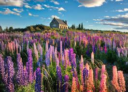 Tekapo Clouds Photography Photography Photo