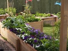 Image Result For Subtropical Garden Design Ideas Nz Vegetable Garden Design Raised Bed Garden Design Garden Design