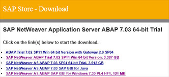 How To Create Your Own Mini Sap Part 1 Preparing The Environment Codit