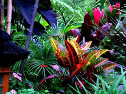 Garden Idea Pictures Balinese Garden Ideas Balinese Garden Tropical Garden Design Tropical Landscaping