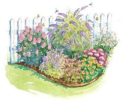 Bird And Butterfly Garden Plan Small Garden Plans Hummingbird Garden Butterfly Garden Design