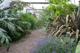 Garden Designer Garden Design Garden Design