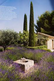 It S Just Not A True Provencal Garden Without Cypress Olive Trees And Lavender Provence Garden Mediterranean Garden Dream Garden