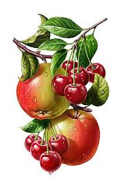 Fruit Et Legumes Avec Images Recette Illustree Illustration De Fruits Dessin Fruits