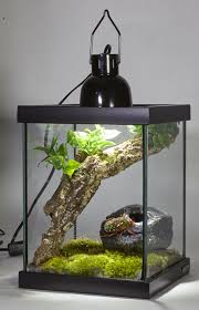 Pin Di Paludarium Vivarium