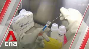 New Covid 19 Test Kits Used To Screen Swab Samples Collected At Singapore Checkpoints Youtube