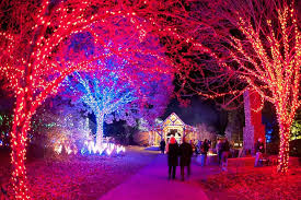 There S Nothing Like The Illumination Of Lights At Night In Asheville The North Carolina Arboretum Bec Holiday Lights Outdoor Diy For Girls Diy Girls Bedroom