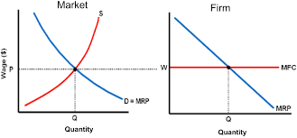 How Do You Graph A Perfectly Competitive Resource Market And Firm No Bull Economics Lessons