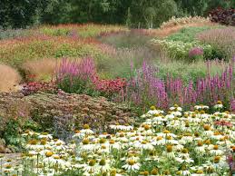 High Line New York Polley Garden Design Garden Plants Design Garden Design Dutch Gardens
