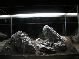 Rock Placement Aquascape Aquarium Fish Tank Nano Aquarium