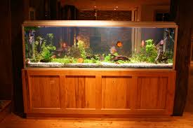 Aquarium Unterschrank Bauen Anleitung In 6 Schritten