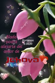 Romanos 8 38 39 Imagenes Testigos De Jehova Dichos De Vida Frases De Bendiciones