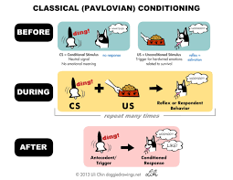 Classical Conditioning Notes From Clicker Expo Operant Conditioning Dog Clicker Training Dog Training Techniques
